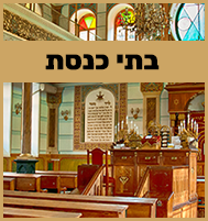 בתי כנסת באריאל